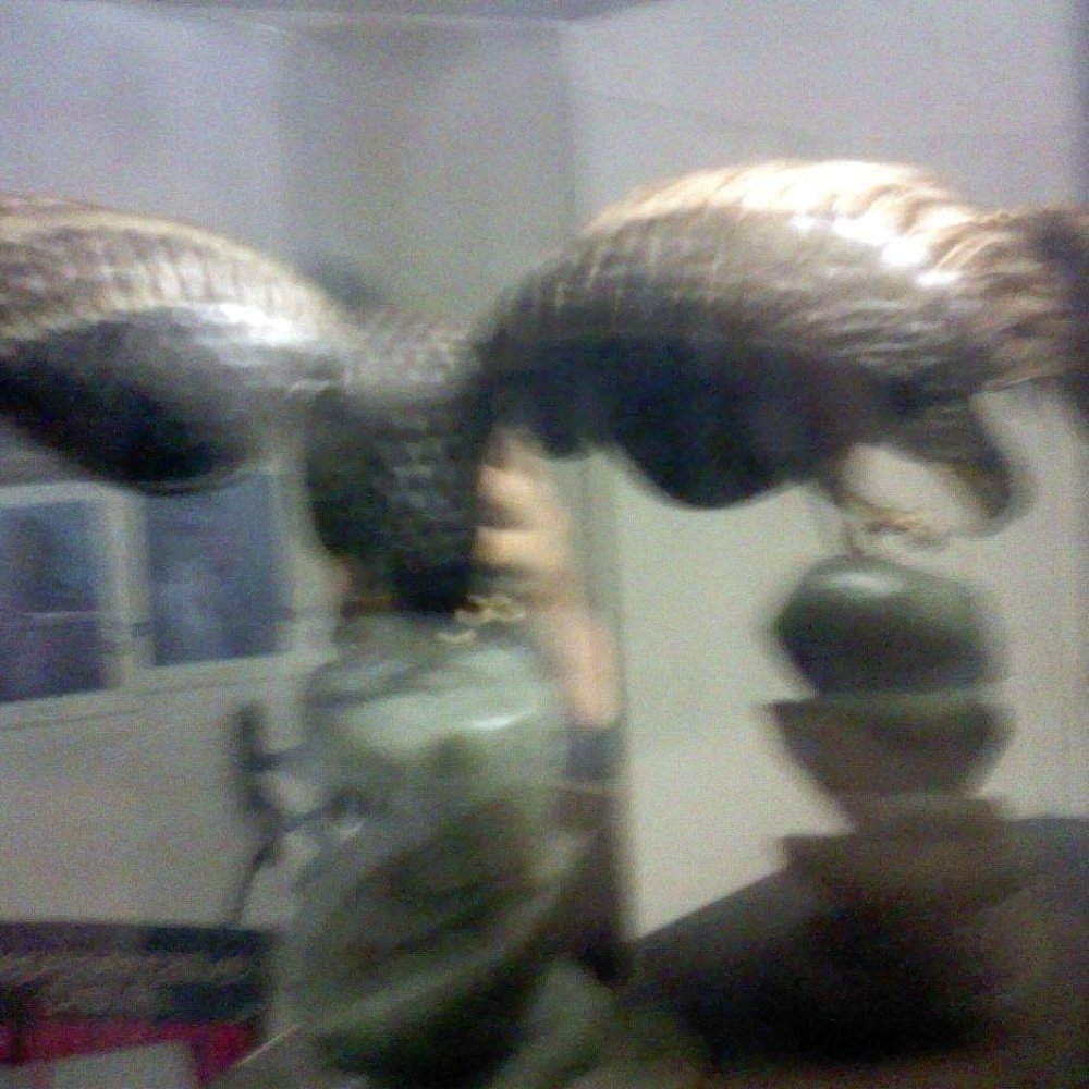 silver eagle on jade base filigree gold plate tortoise shell